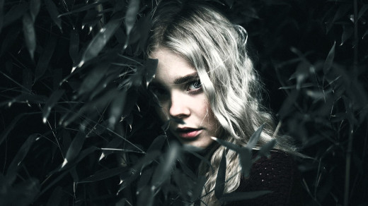 1751660 (a): :2050x1150